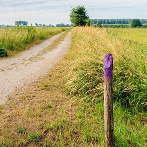 Wooden post stands with purple top alongside dirt path, surrounded by tall grass and open fields extending to the horizon.