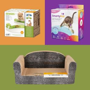 Three cat products displayed: a Catit circuit toy in a box, a SmartyKat electronic toy in a box, and a scratcher sofa on green.