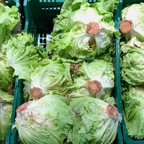 Lettuce heads sit stacked in green crates, displayed neatly for sale, surrounded by other leafy greens.