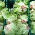 If You See Red Stuff on Your Lettuce, This Is What It Is