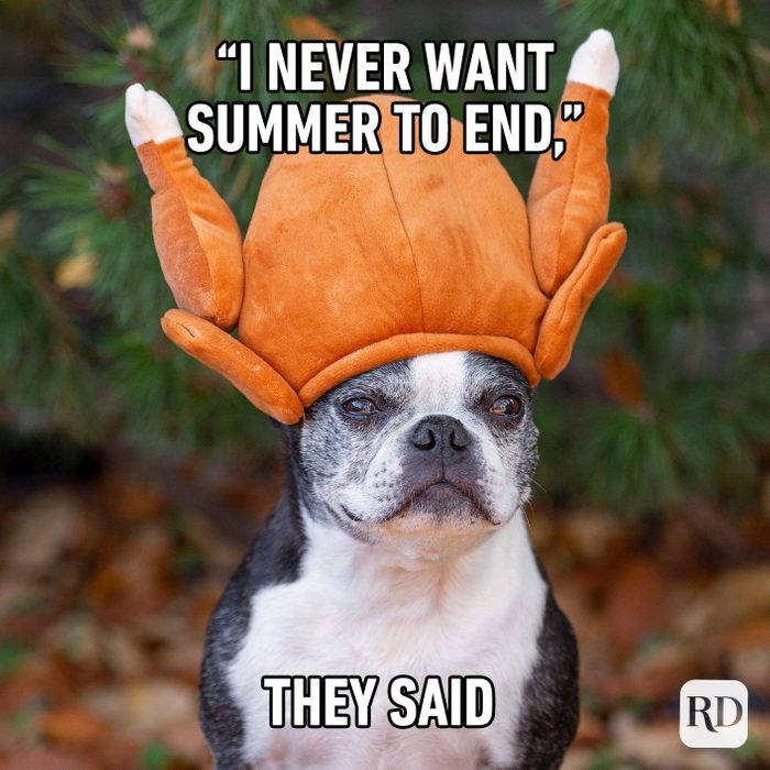 “i Never Want Summer To End” They Said