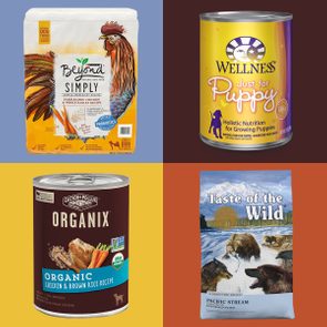 Four dog food packages display different brands and flavors against colorful backgrounds, each emphasizing natural, organic, or holistic ingredients for dogs and puppies.