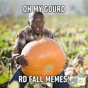 Boy holding large pumpkin, looking surprised in a sunlit pumpkin patch. Text: 