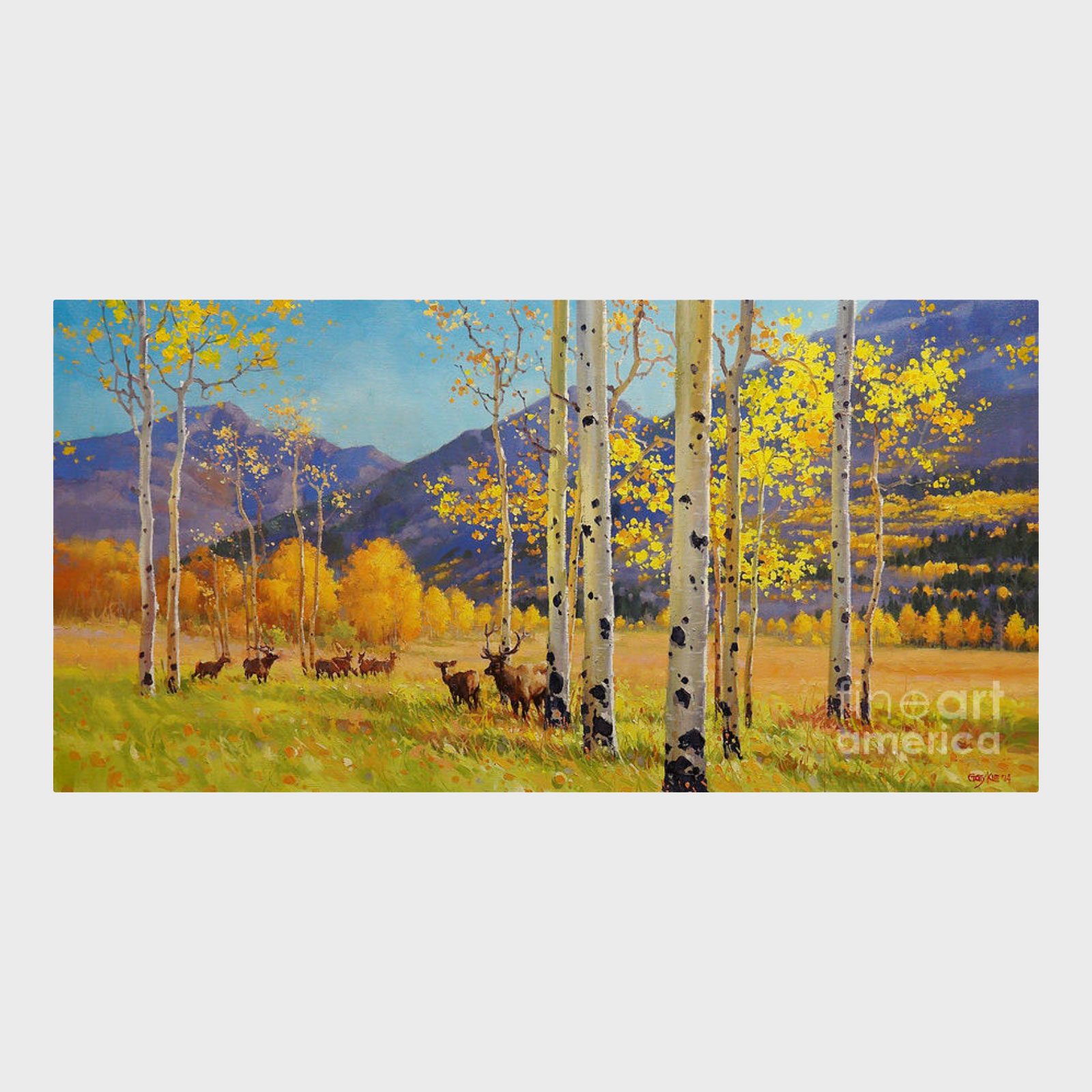 Fine Art America art distributer