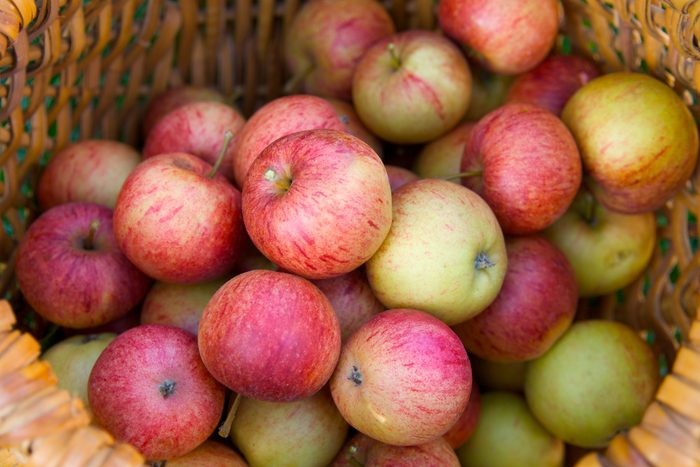 basket full of apples