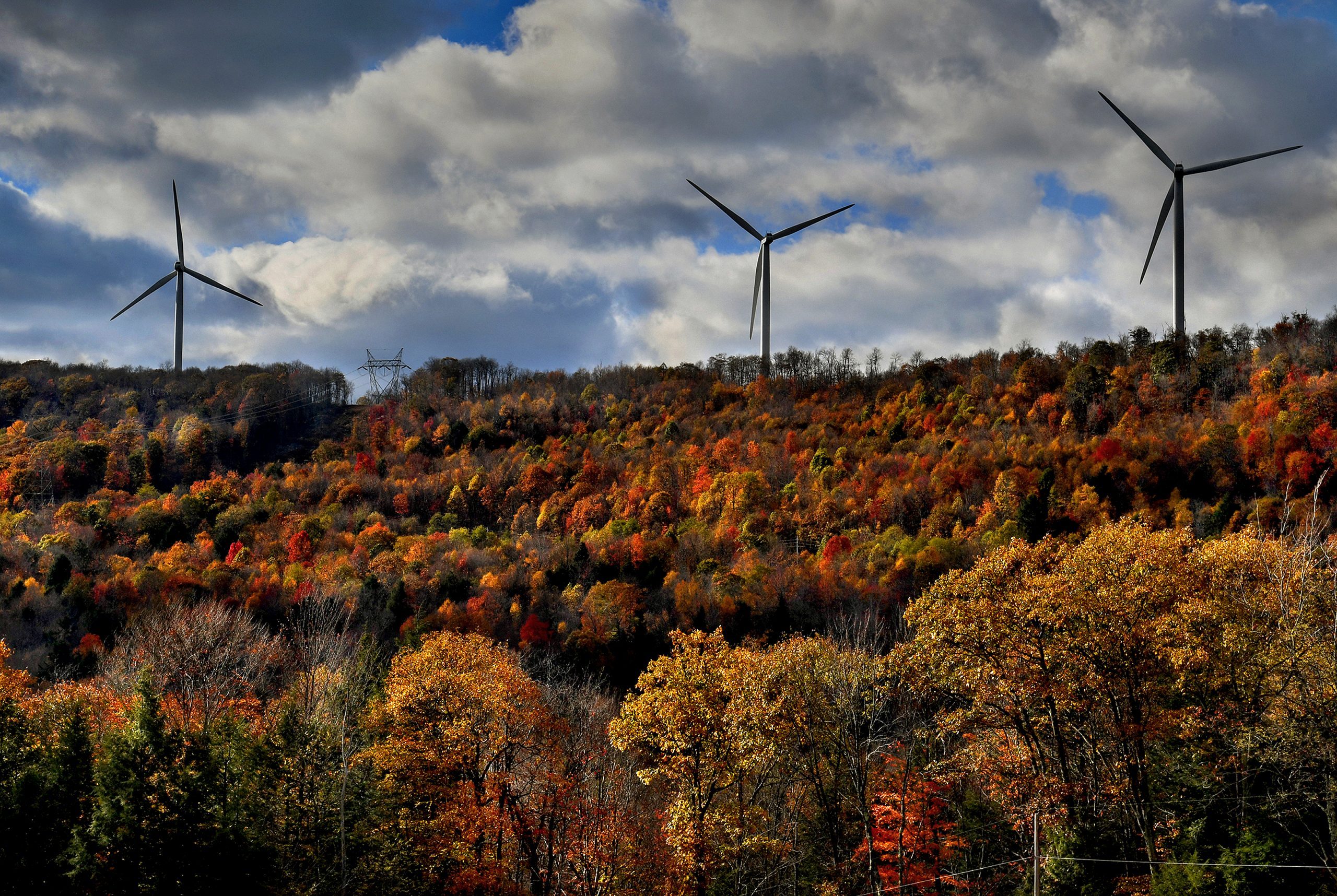 Fall Colors are More Vibrant in the Higher Elevations