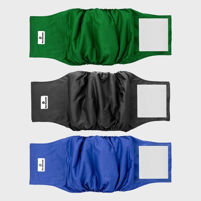 Three dog belly bands are shown flat, in green, gray, and blue, each with a Velcro pad and a white label reading 