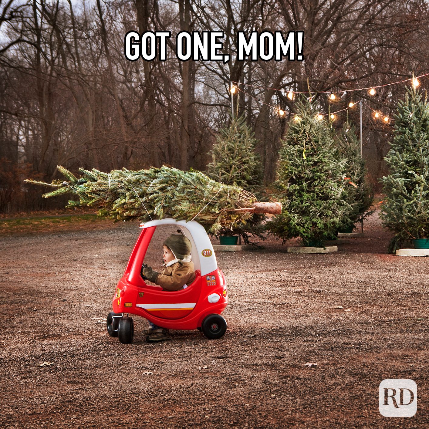 Got One Mom meme text over child with christmas tree strapped on top of childs car