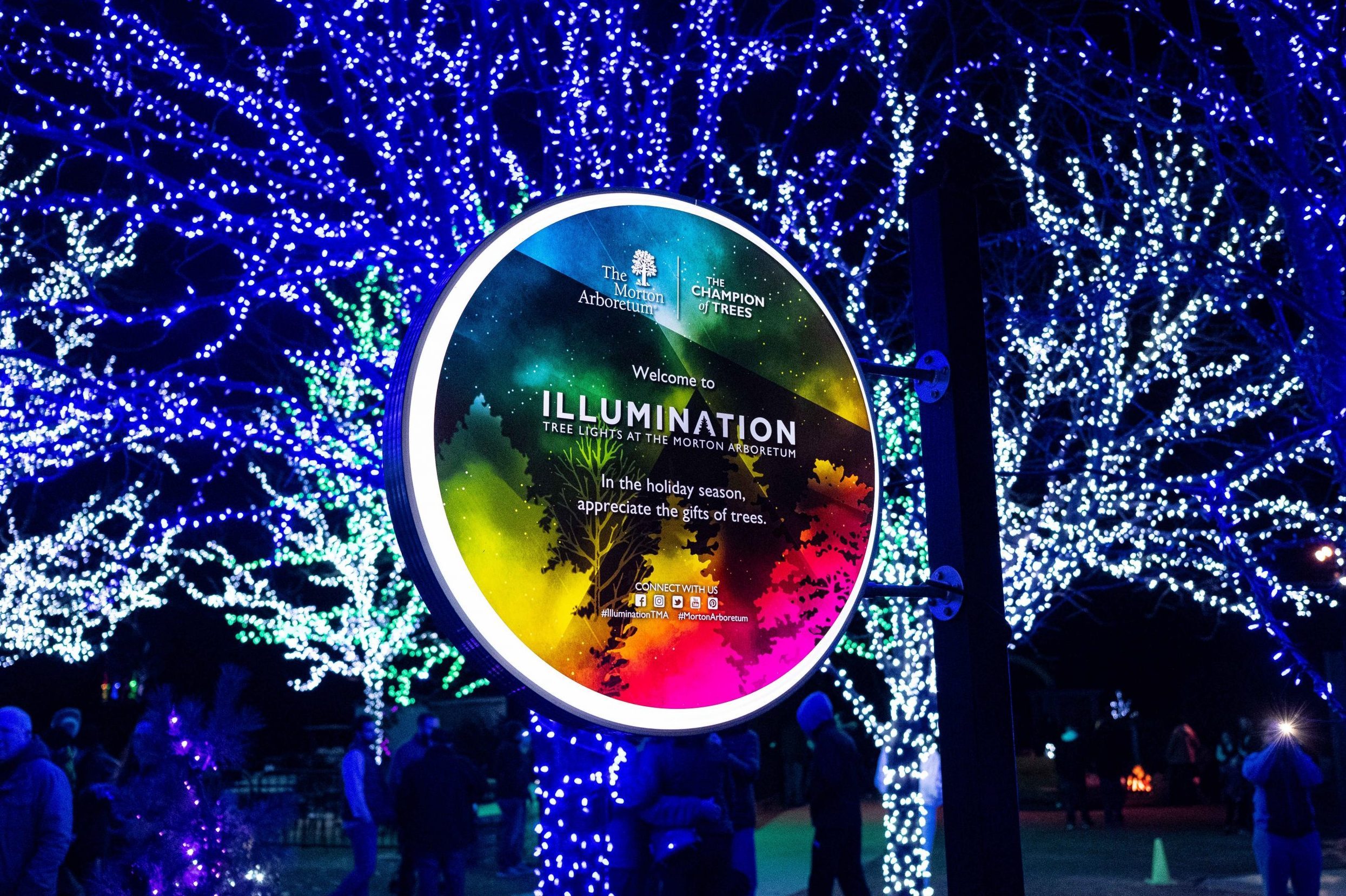 Tree Lights at The Morton Arboretum in Lisle, Illinois
