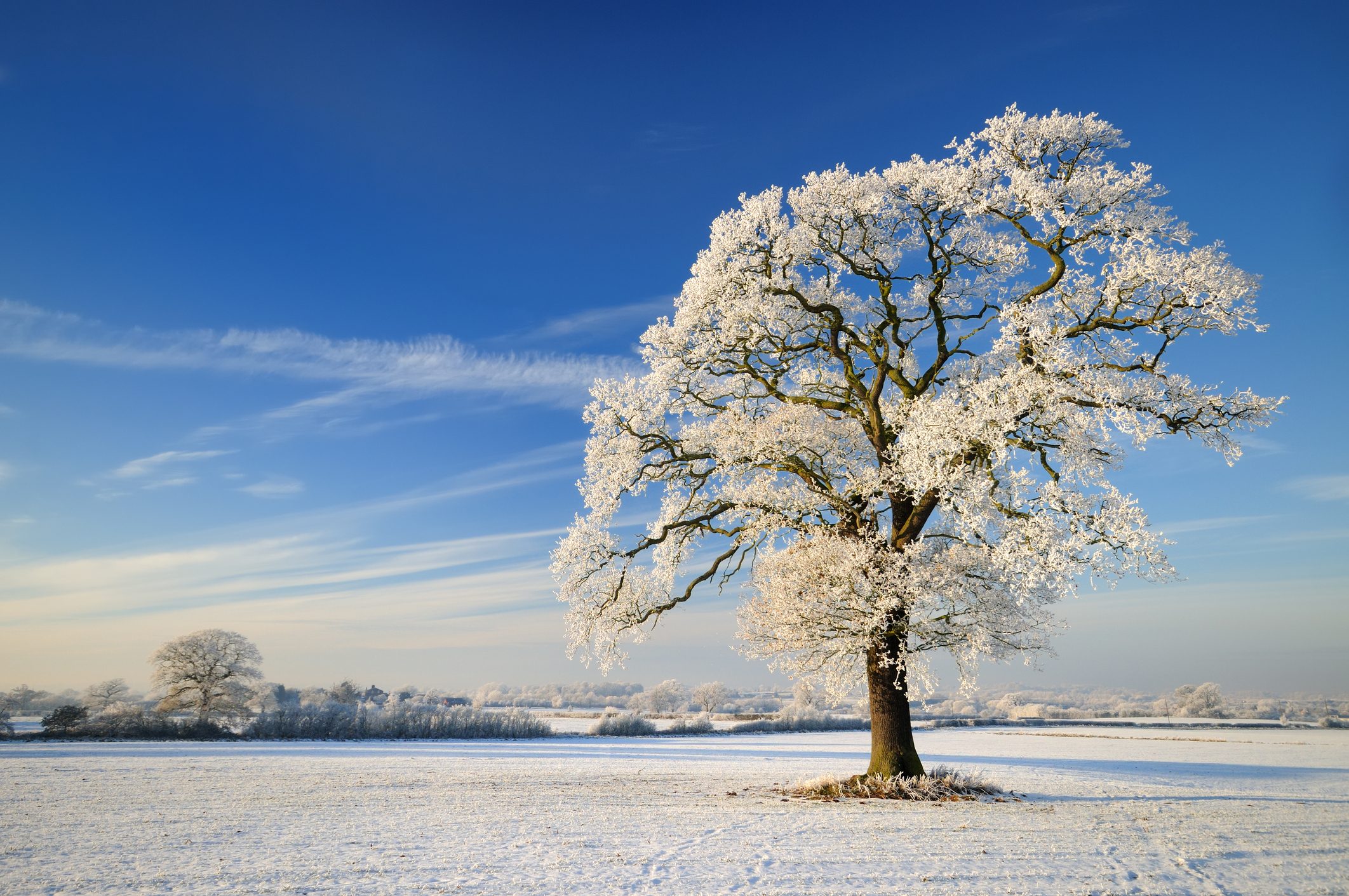 2024 Winter Solstice: What to Know Before It Arrives
