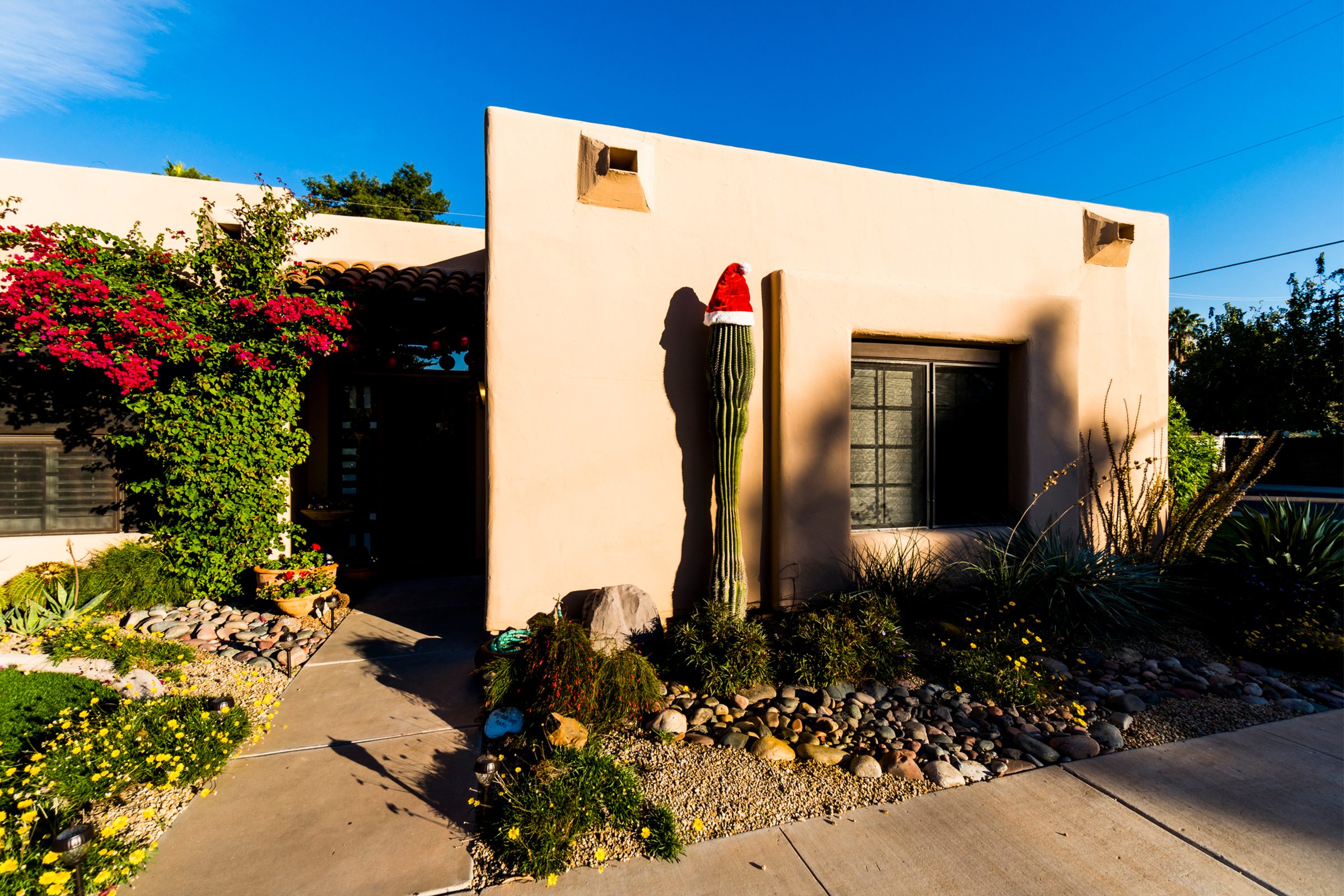A Seguaro Cactus adorned with a Santa Hat outside a house in Phoenix Arizona