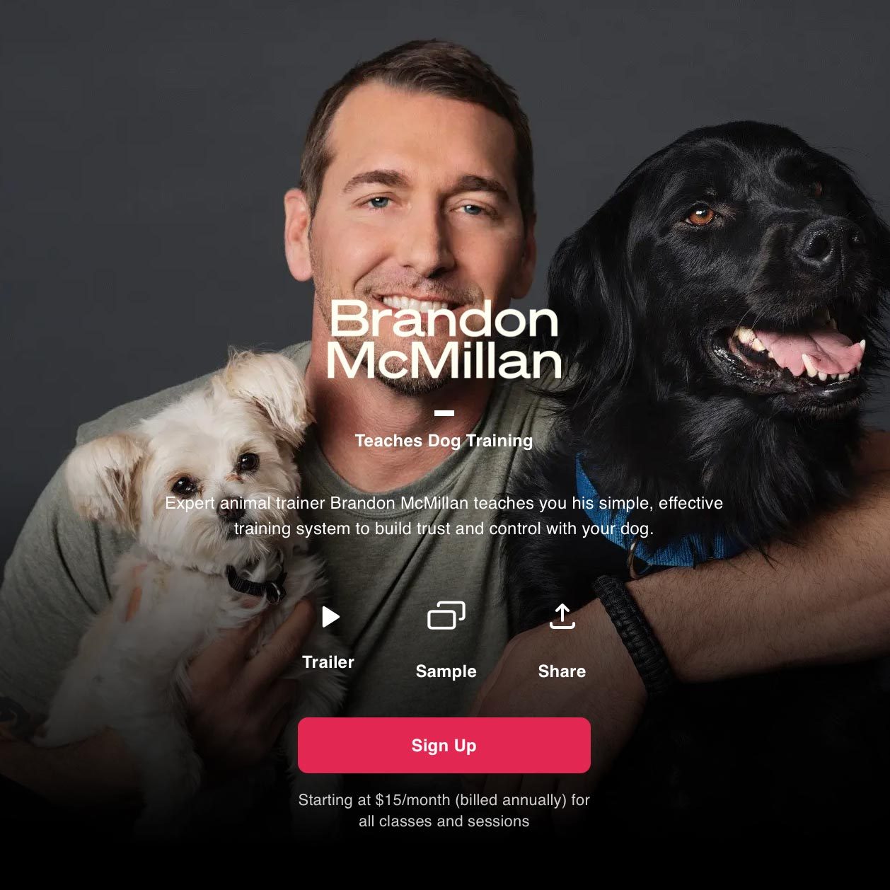 Dog Training Class 