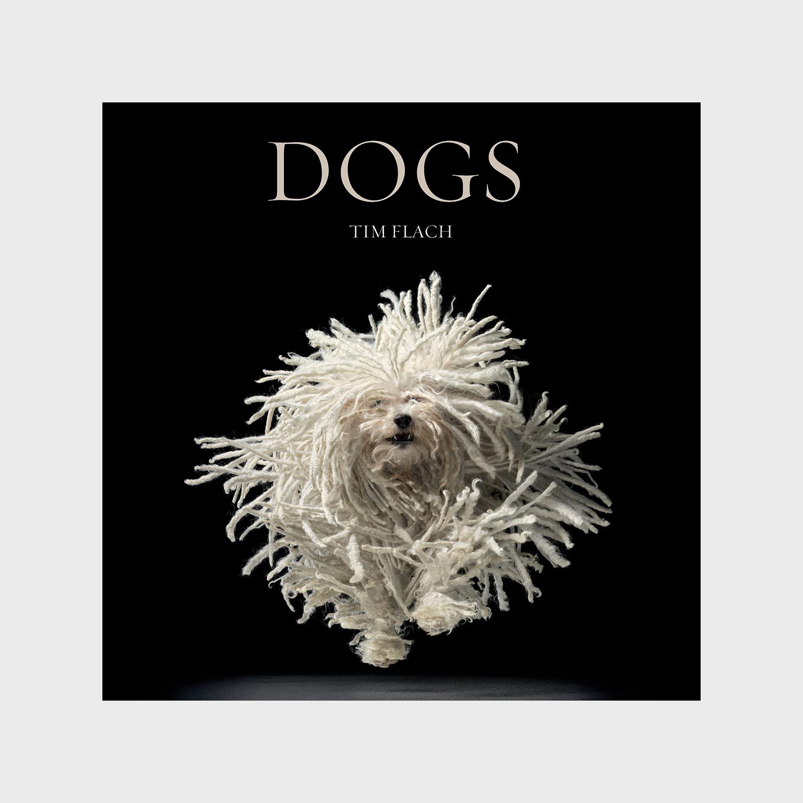 Dogs Book