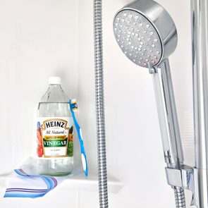 A vinegar bottle and toothbrush sit on shower shelf, next to a silver showerhead and coiled hose in a bright bathroom setting.