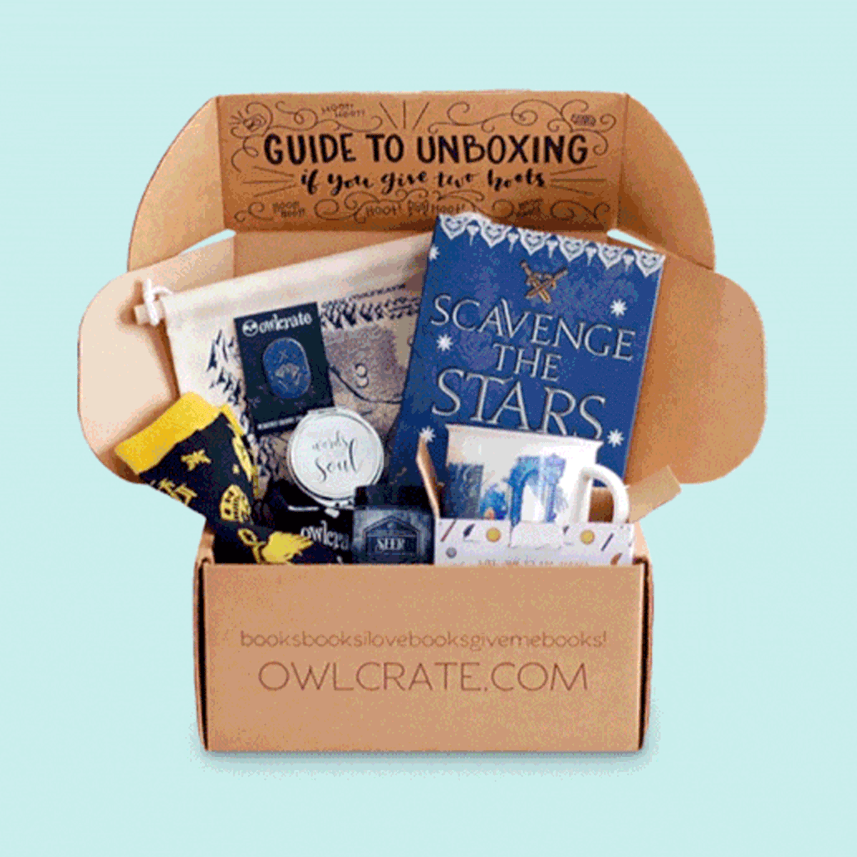 A subscription box holds a book, socks, mug, and various items. The box is open, revealing a 