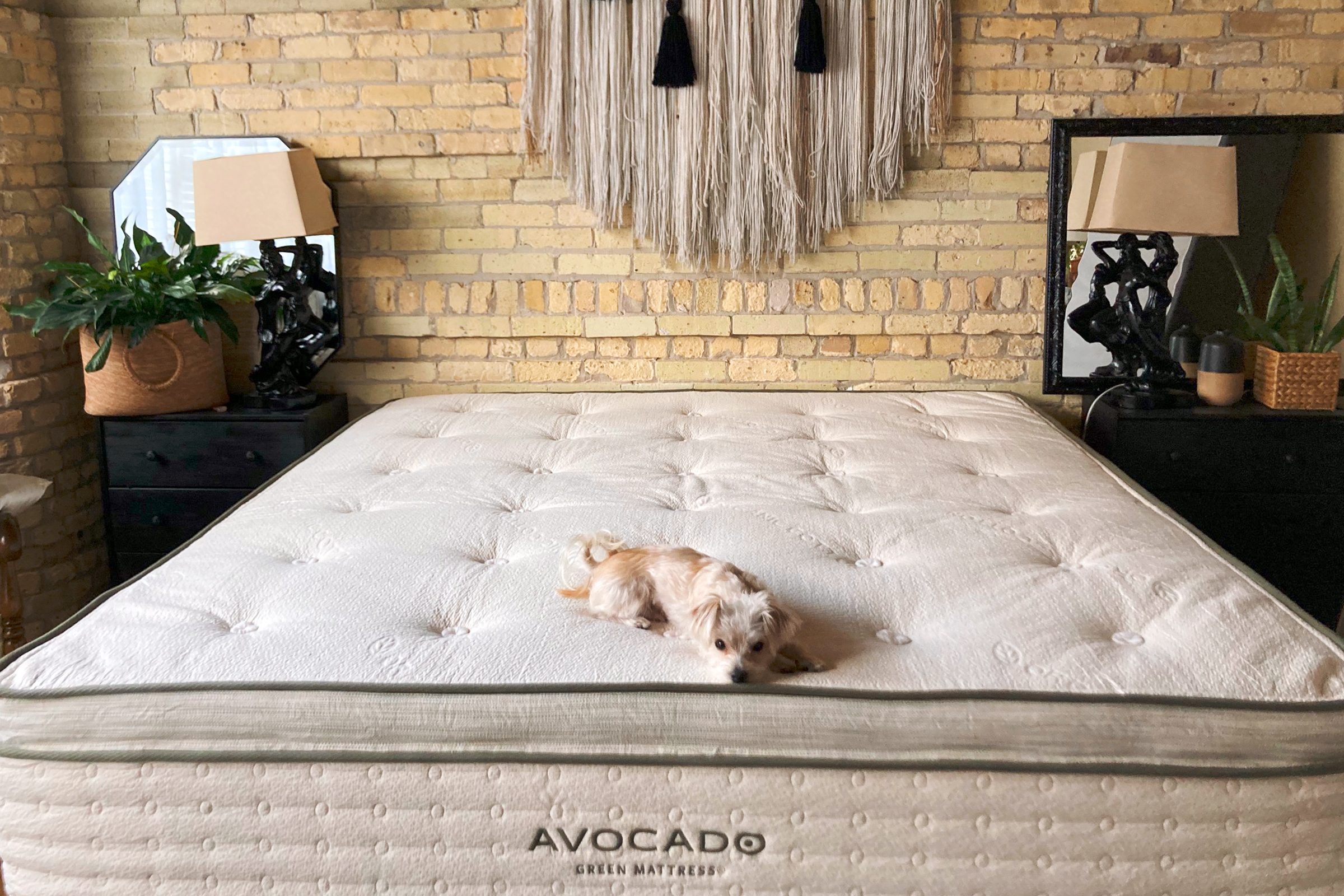 Avocado Green Mattress Review: Upgrade to Better Sleep and Health With This Non-Toxic Organic Mattress
