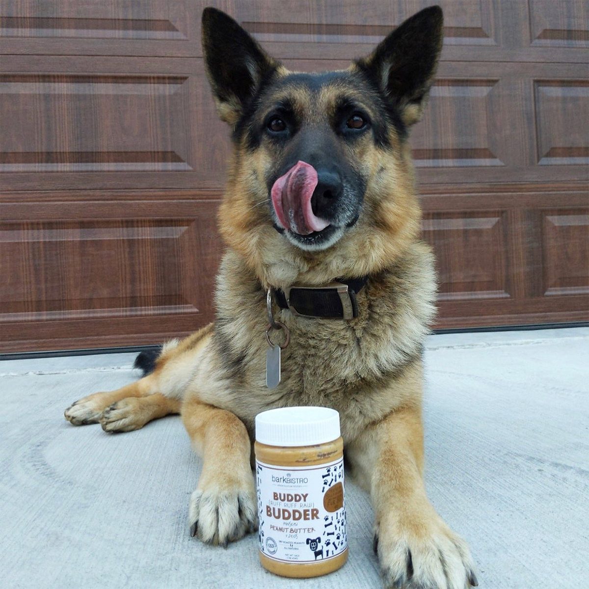 Bark Bistro Buddy Budder