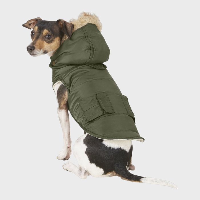 Dog wearing green hooded jacket sits, looking back, against a plain gray background.