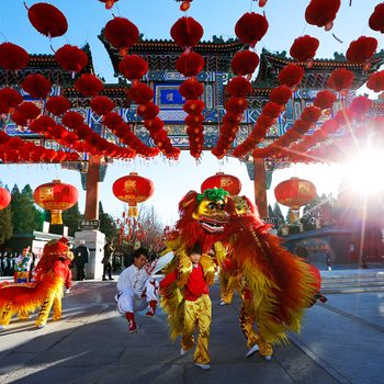 Lion dancers perform energetically under a canopy of red lanterns, with sunlight streaming through an ornate archway in a festive outdoor setting.