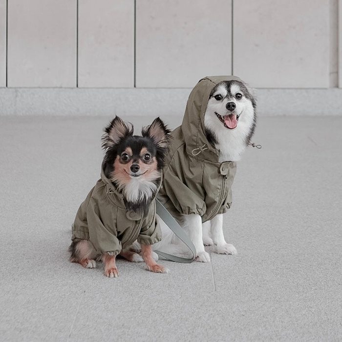 Two dogs wear matching khaki raincoats, sitting on a light gray surface against a tiled wall.