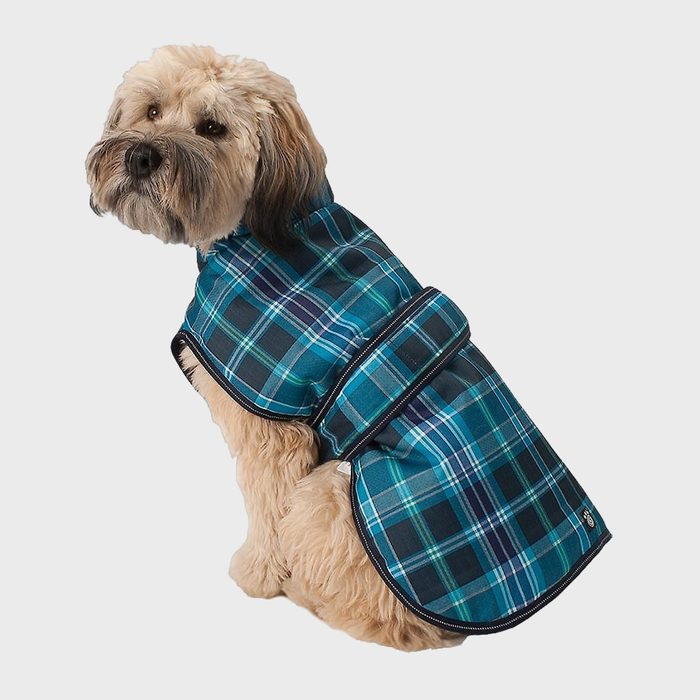 A fluffy dog wears a blue plaid coat, sitting against a plain white background.