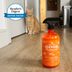 I Tried the Angry Orange Pet Odor Eliminator, and Itâ€™s Magic at Removing Stubborn Smells