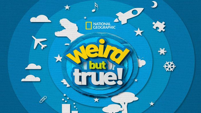 Weird But True Via Disneyplus