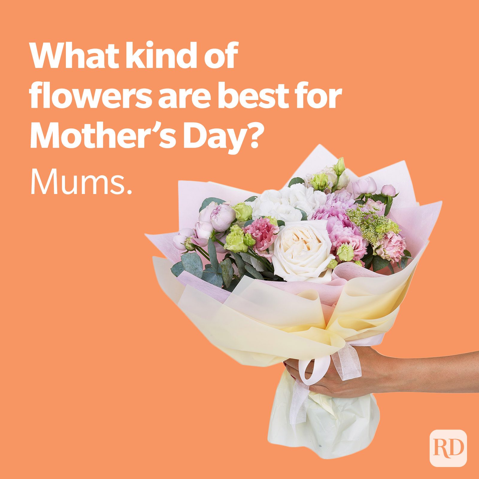 Mums Mom Joke