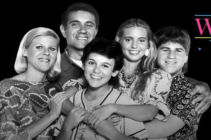 The Wonder Years Tv Show