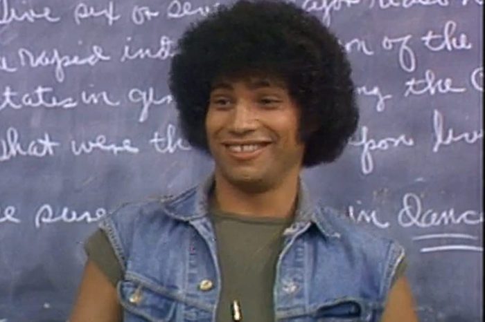 Welcome Back Kotter