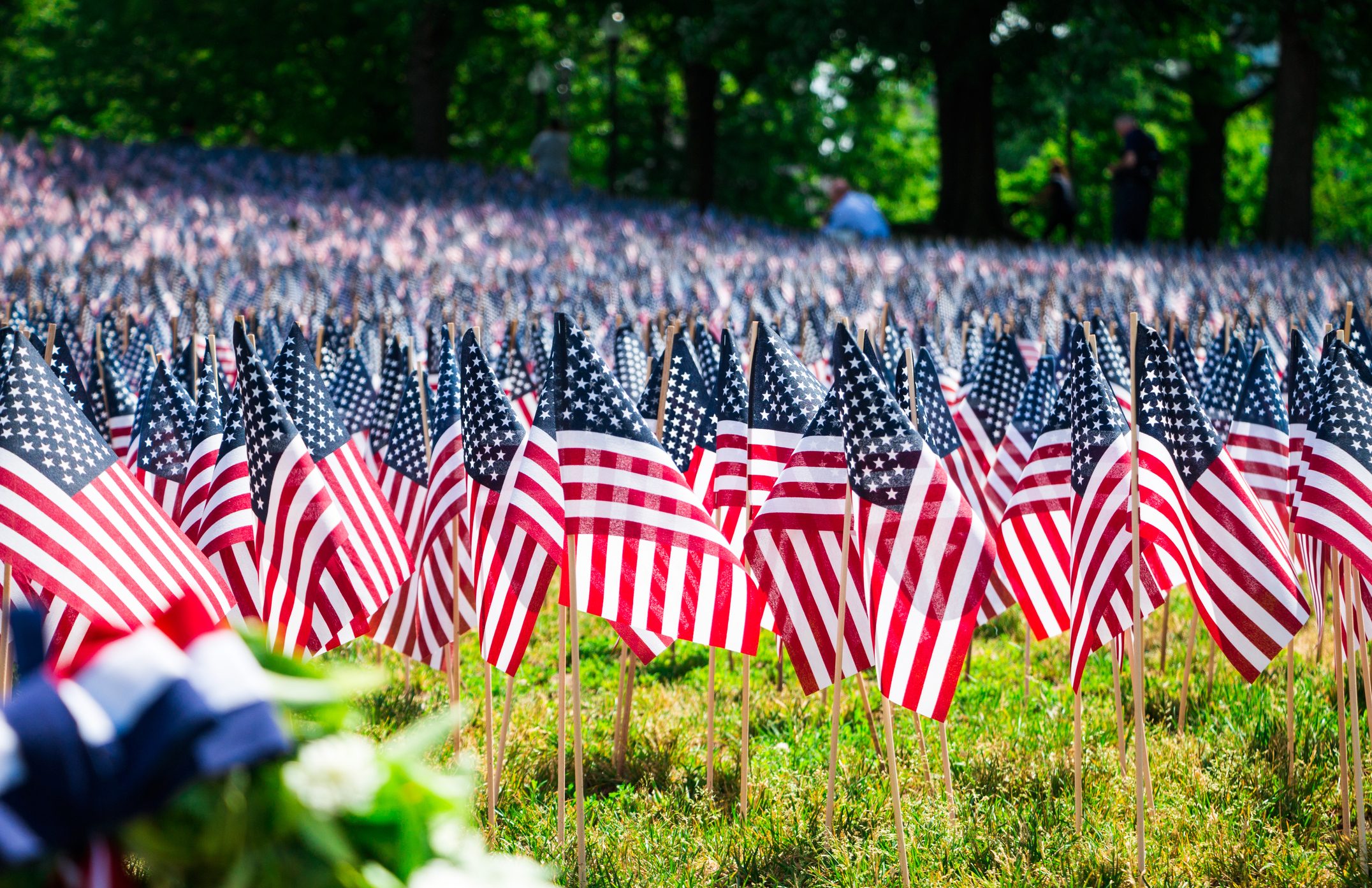 Memorial Day vs. Veterans Day: What’s the Difference?
