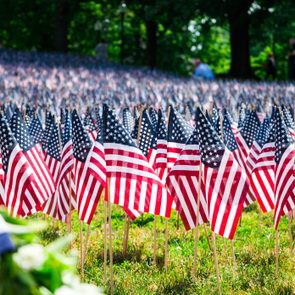 American flags stand arranged closely on a grassy field, with trees and people visible in the background.