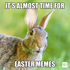 Rabbit looks surprised; standing in grass with a blurred green background. Text reads: 