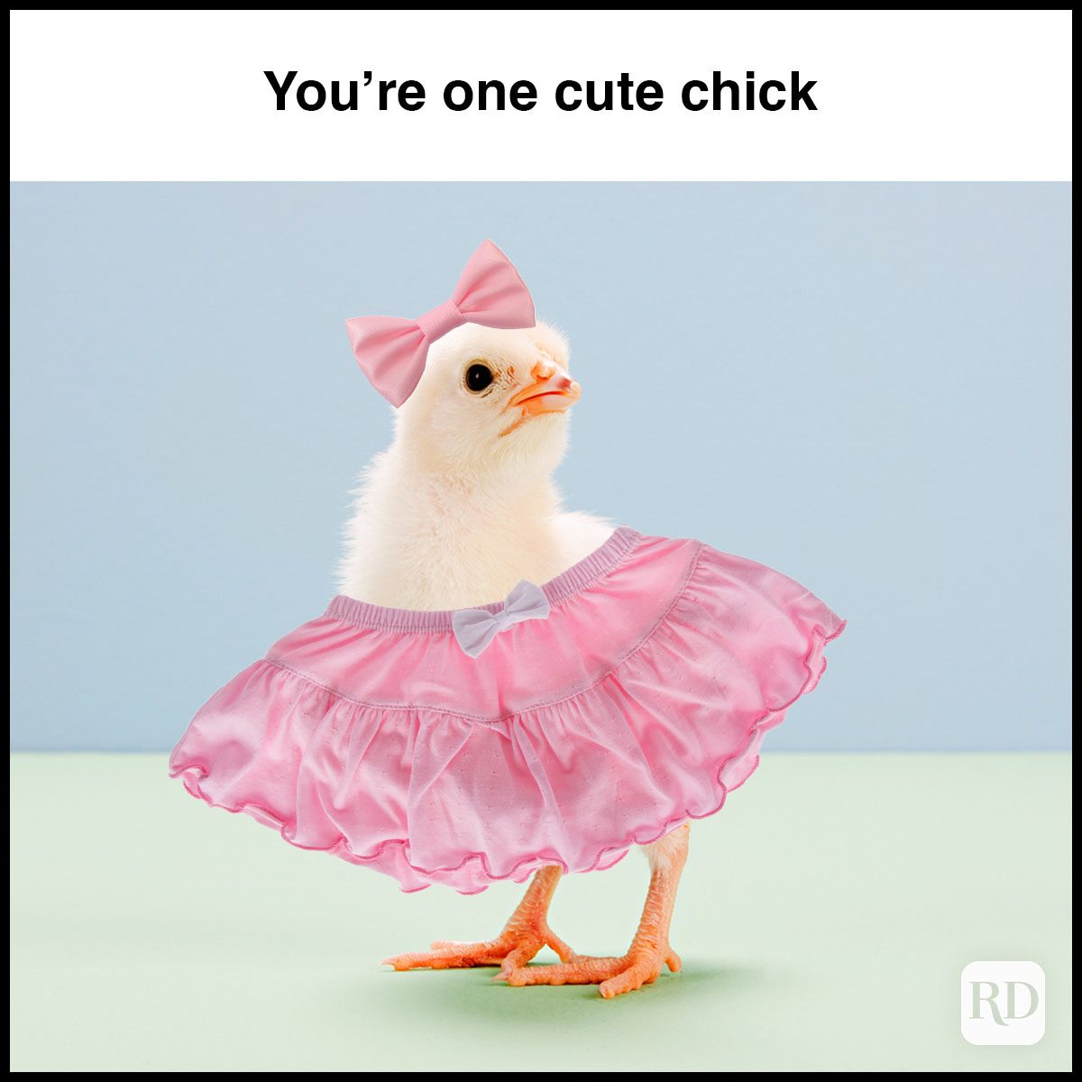 35 Hilarious Easter Memes That Will Make Any-Bunny Laugh Text: You're one cute chick