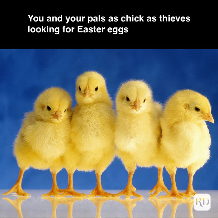 35 Hilarious Easter Memes That Will Make Any-Bunny Laugh Text: You and your pals as chick as thieves looking for Easter eggs