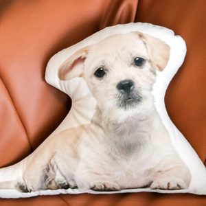 Pillow displaying a dog's face and body, resting on a brown leather couch.