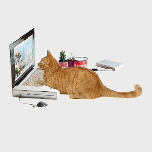 A ginger cat watches a laptop screen, surrounded by potted plants, a red mug, a notebook, and a pen on a white surface.