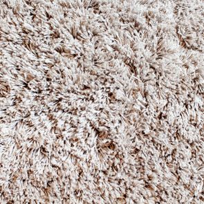 Beige shag carpet lies on the floor, densely woven with thick, plush fibers, creating a soft, textured appearance.