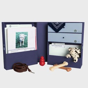 Pet organizer displaying documents, toy bones, and a leash placed against a neutral background, with medical records and a photo of a dog.