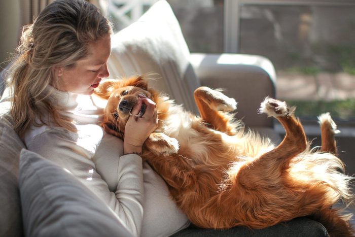 Living with Pets