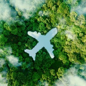 An airplane-shaped lake lies amidst dense, green forest with drifting clouds creating a surreal, aerial view.
