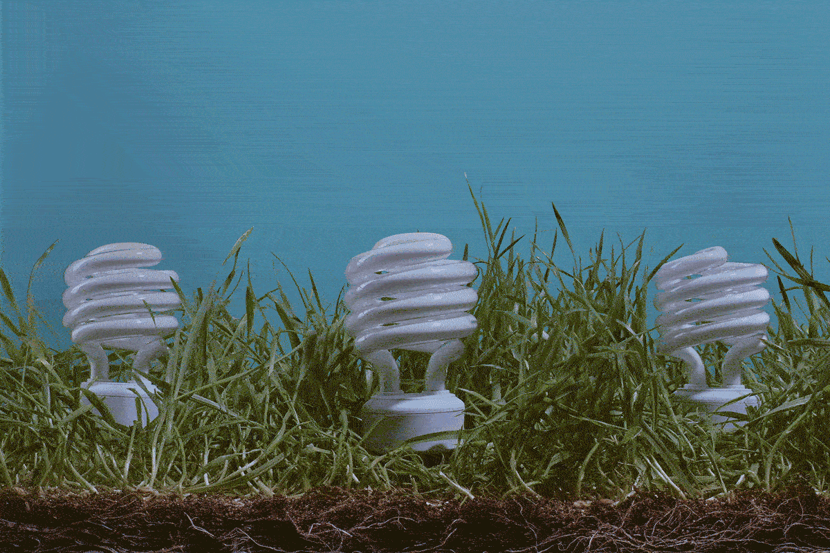 Lightbulbs
