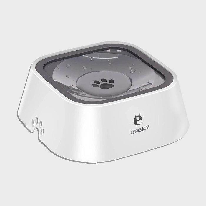 Dog water bowl containing water, featuring paw design; branded 