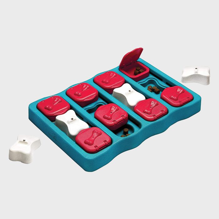 Puzzle toy holds treats within red flip compartments and white bone-shaped sliders on a teal tray, creating an interactive challenge.