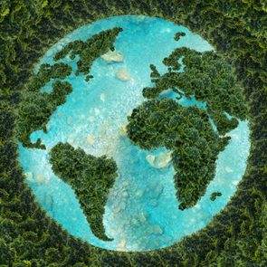 Foliage forms continents, resembling Earth, surrounded by lush green forests and vibrant turquoise water in a circular pattern.