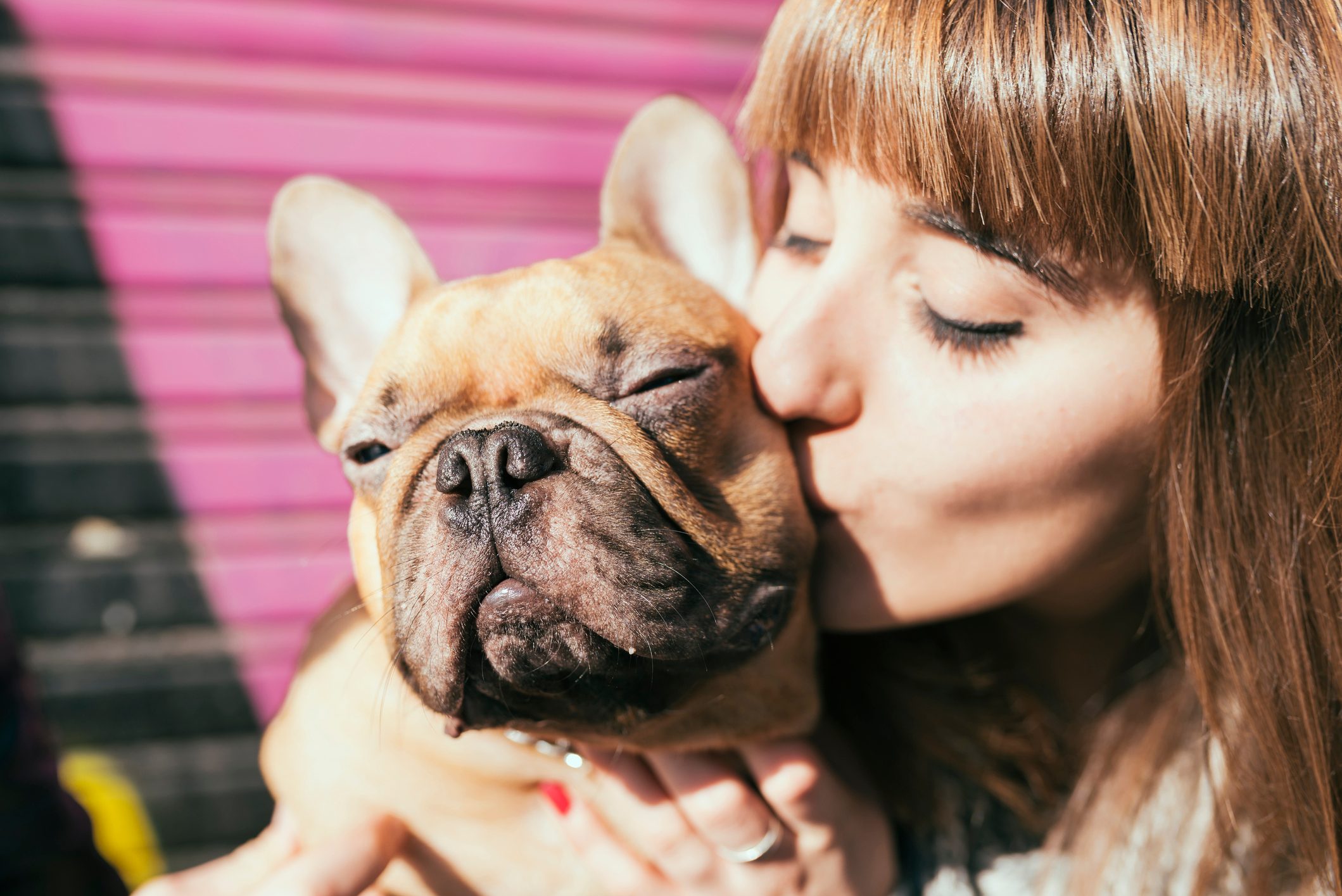 These Are the Most Popular Dog Breeds in the U.S. Right Now