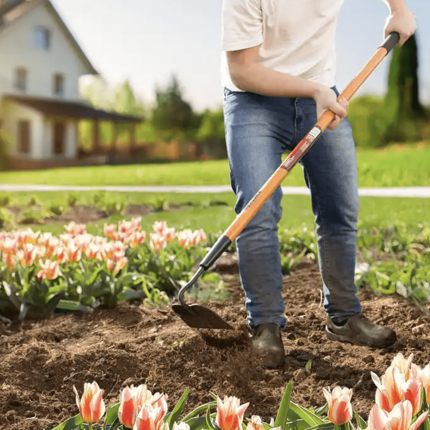 Garden Hoe 
