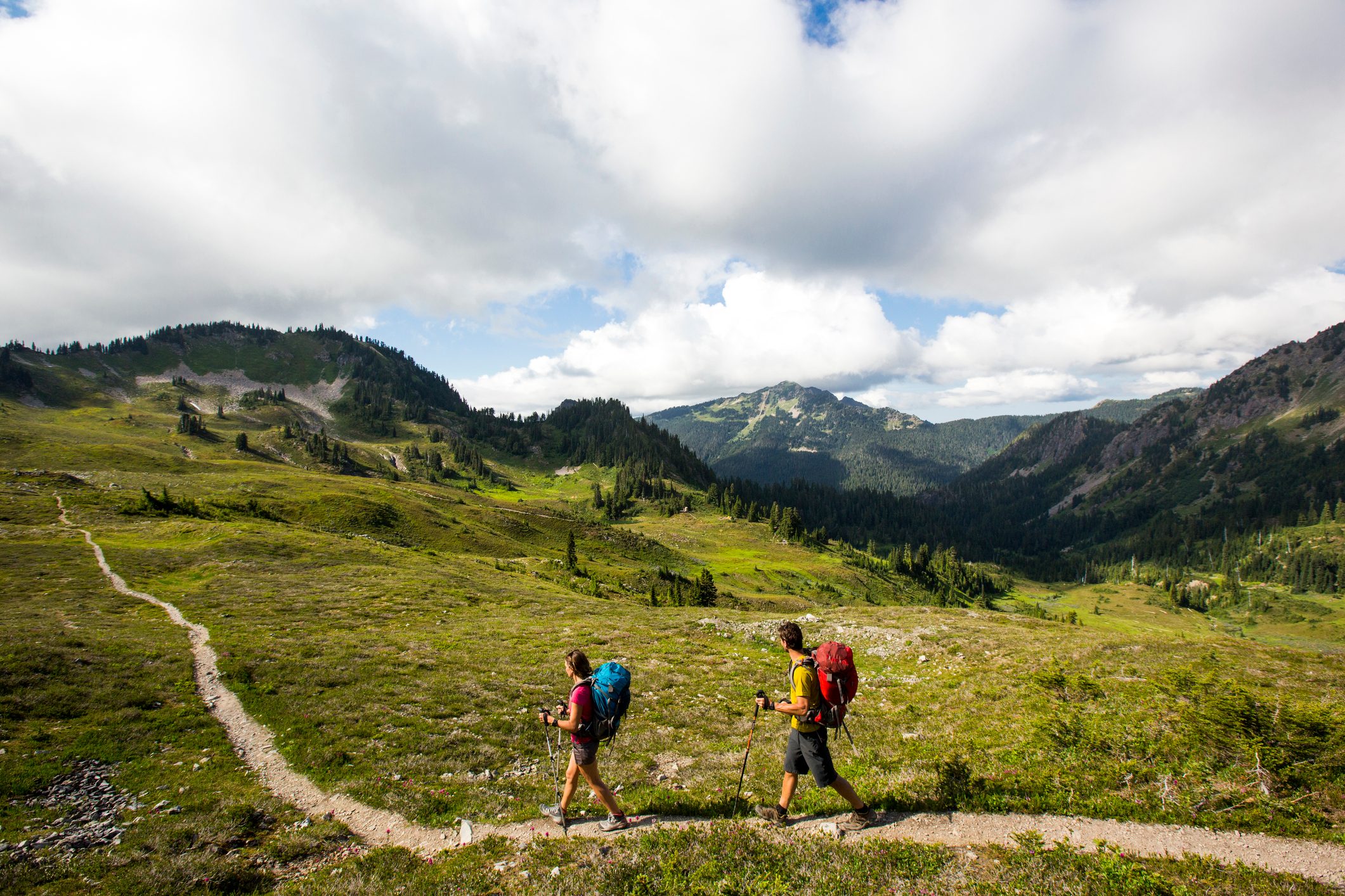 What Is Ecotourism, and How Can It Help the Environment?