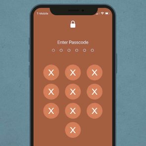 A mobile screen displays a passcode entry interface with a brown background and circular 