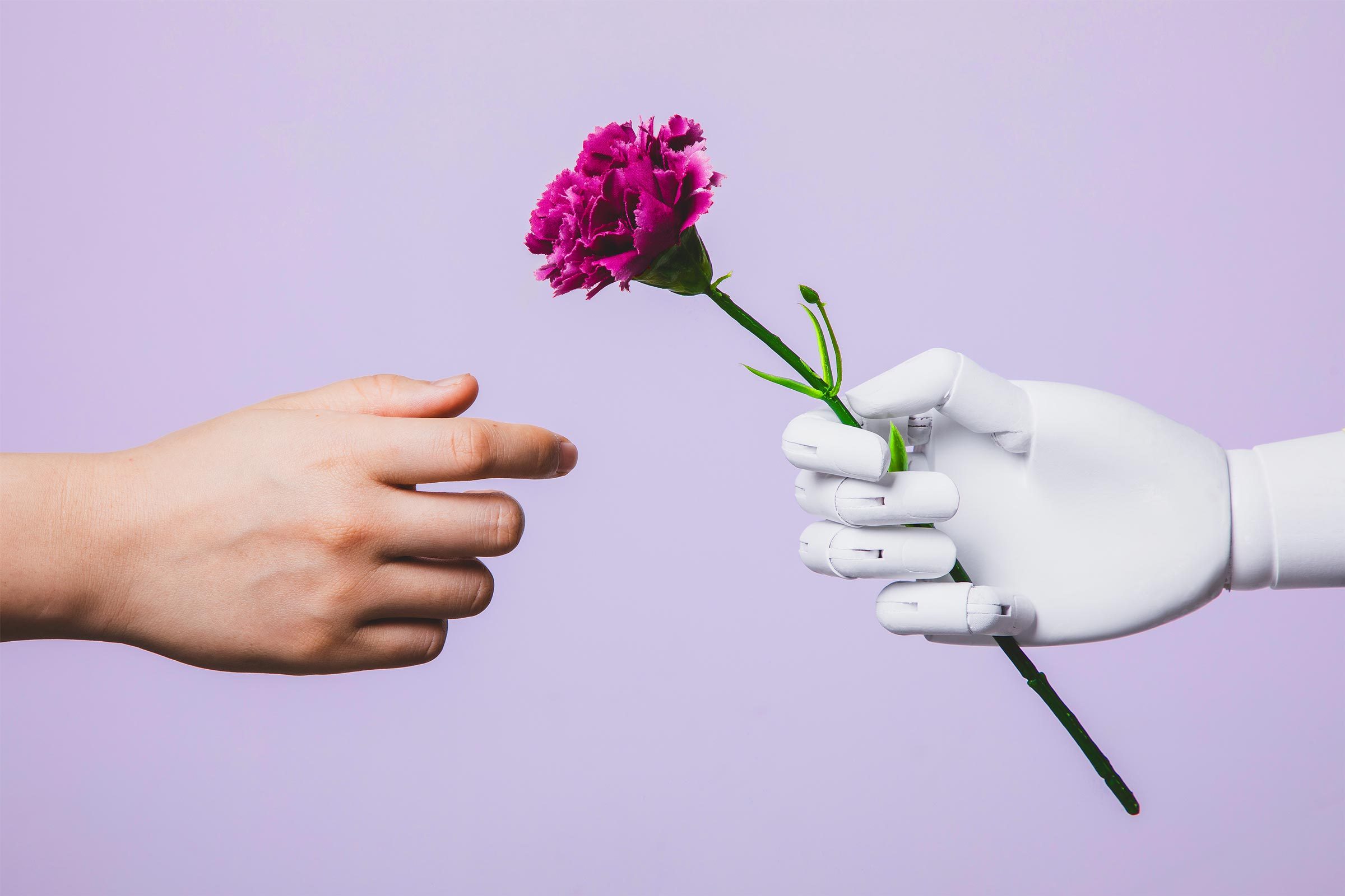 How Robots Could Change the Future